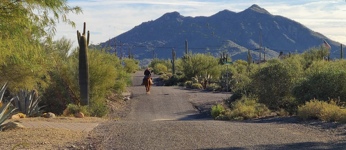 Horseback rider on a desert road in Cave Creek, Arizona